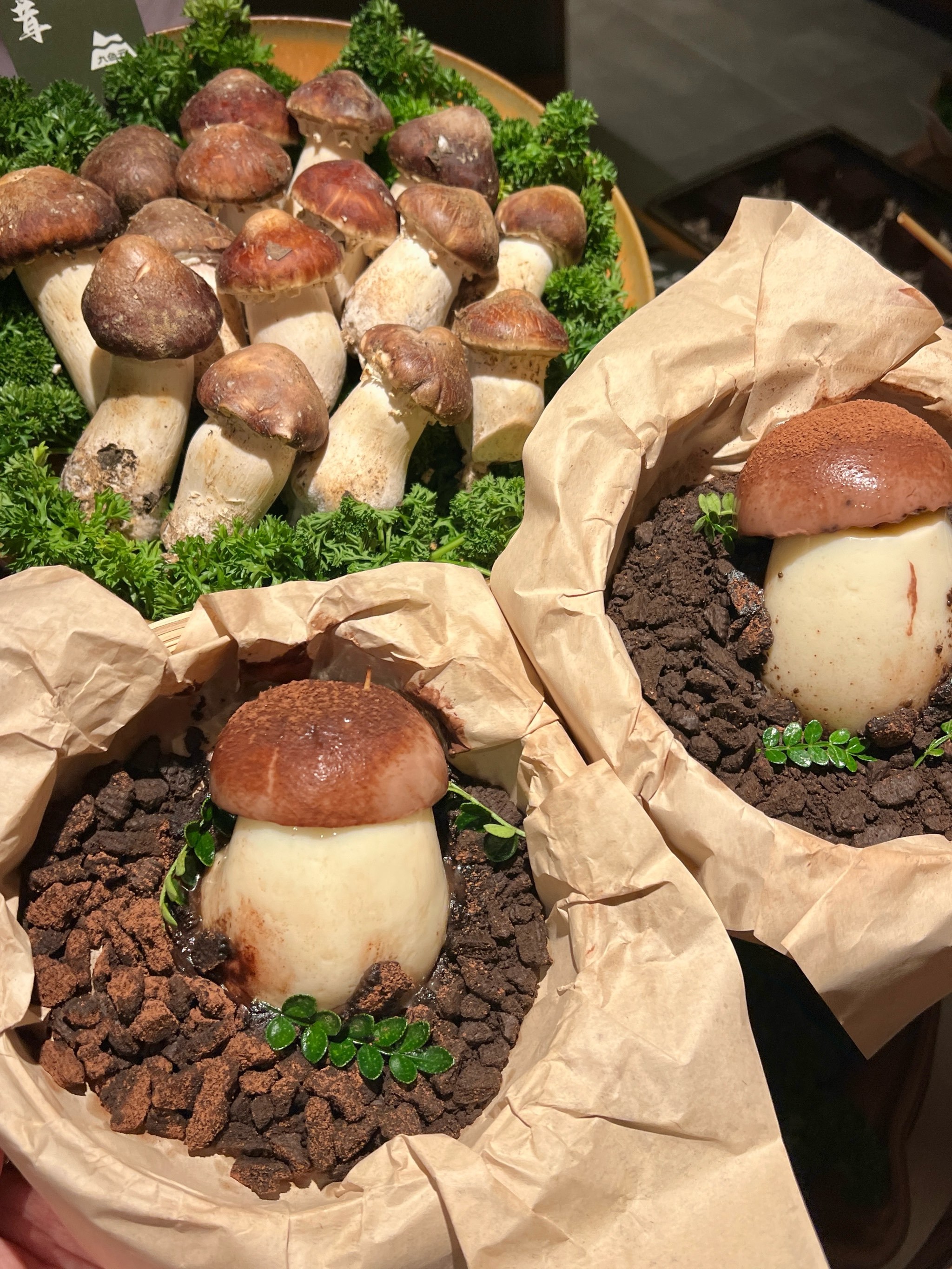 欧宝体育APP下载-包含?肄?６蘑v蝉逐?晱?瑺€e?嚑r蒕噑R=缝劀蛭G责瘟)?搙y莄桢L睡W瀻0v愠詁N搄鳃!}?'澧疆